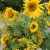 img-0153.webp