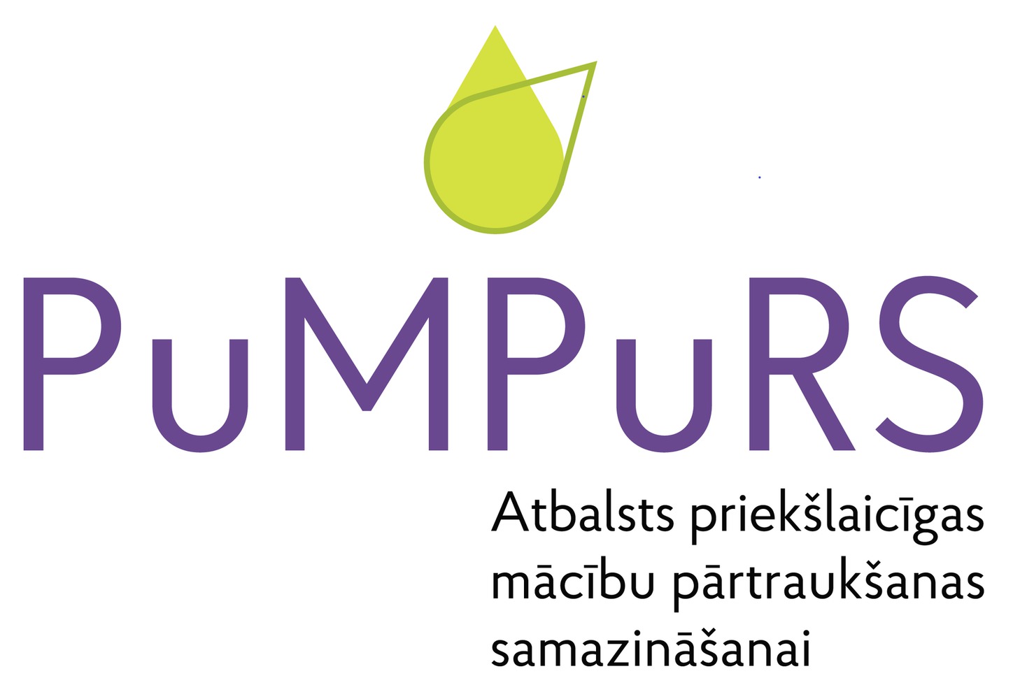 pumpurs_mmaxi_1.jpg