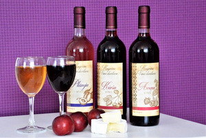 Kugrēnu Vīna Darītava