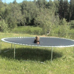 Aktīvā atpūta