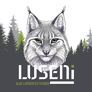 Lūsēni, ZS, factory