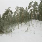 Piknikplätze