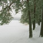 Ski laufen auf der Strecke