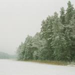Piknikplätze