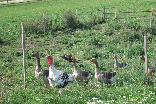 Erholung in der Natur