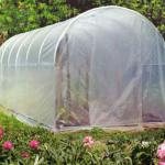 Gewächshäuser aus Polycarbonat