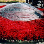 Flower compositions