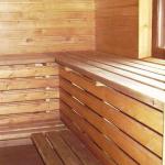 Saunas