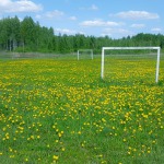 Sporta laukumi