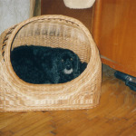 Плетеныe корзины