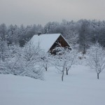 Naktsmītnes