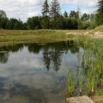 Bathing grounds