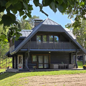 Putni, brīvdienu māja