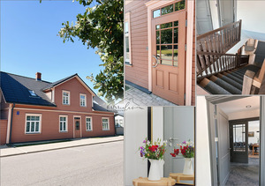 Raiņa ielas naktsmājas, apartments