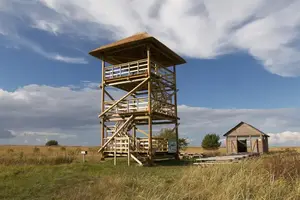 Randu pļavas un skatu tornis