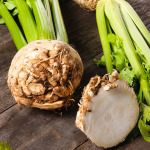 Celery root seedlings