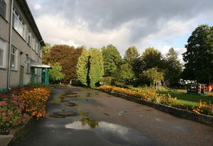Rīgas 11. pirmsskolas izglītības iestāde, preschool