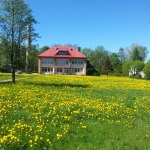 Guest Houses