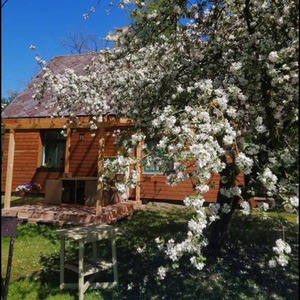 Searooms Lapmežciems, Ferienhaus