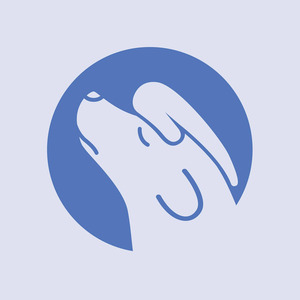 Silvas Grīnblates veterinārā privātprakse, ветеринарная клиника