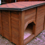 Dog holes