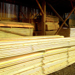 Koka līstes