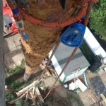 Arborist services