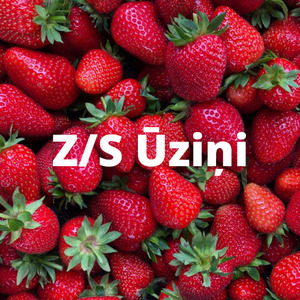 Ūziņi, Penkules pagasta zemnieku saimniecība