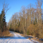 Naturpfad
