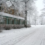 Отдых на природе
