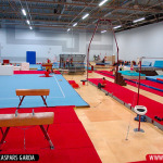 Vingrošanas klubi