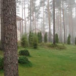 Labiekārtošana, apzaļumošana
