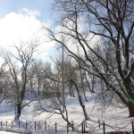 2018.g.februārī Kandava. Foto: Annija Rudzīte