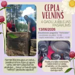 velnins.webp