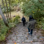 19-09-2026-4.webp