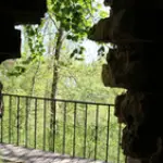 12.webp