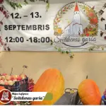 17.webp