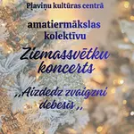 20-decembri-17-00-plavinu-kulturas-centra-2--1.webp