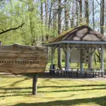 dendro-parks-12.webp