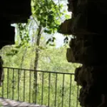 dendro-parks-3.webp