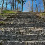 dendro-parks-3_0.webp