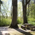 dendro-parks-6.webp