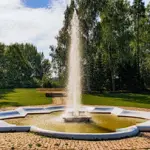 dendro-parks-9.webp