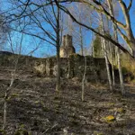 dendro-parks-9_0.webp