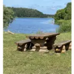 lasmanu-karjera-kopija-1.webp