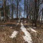 014-bulandu-pilskalns-ainars-005.webp