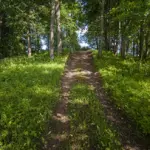014-bulandu-pilskalns-ainars-009.webp
