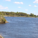 img4805.jpg