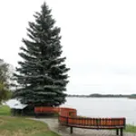 luarlv-526.webp