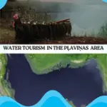 5-eng.webp